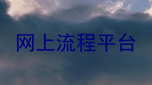 网上流程平台