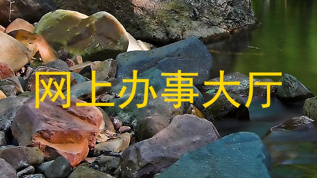网上办事大厅