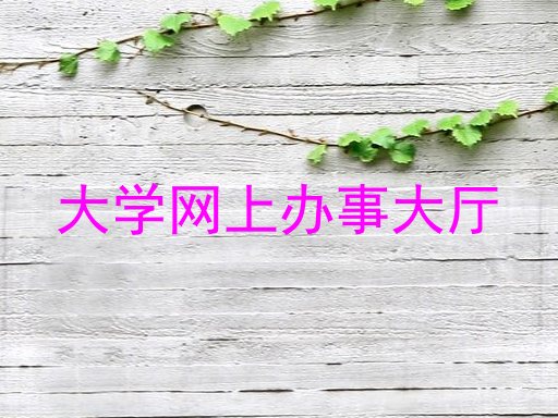 大学网上办事大厅
