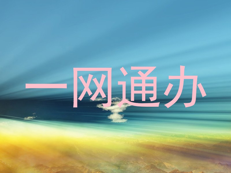 一网通办