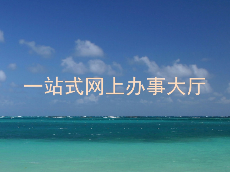 一站式网上办事大厅