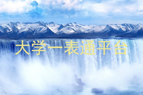大学一表通平台