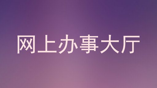 网上办事大厅