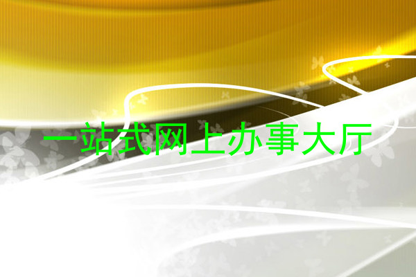 一站式网上办事大厅