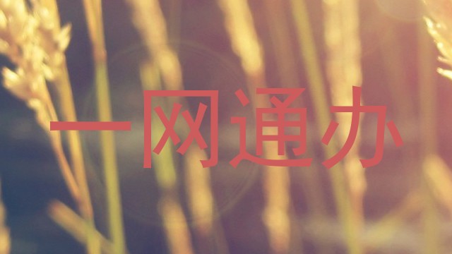 一网通办