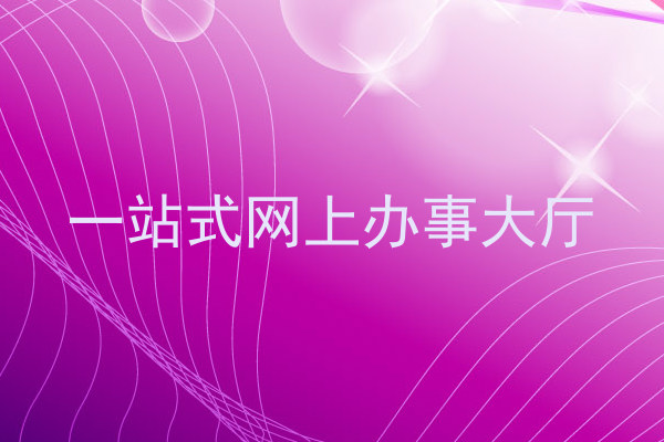 一站式网上办事大厅