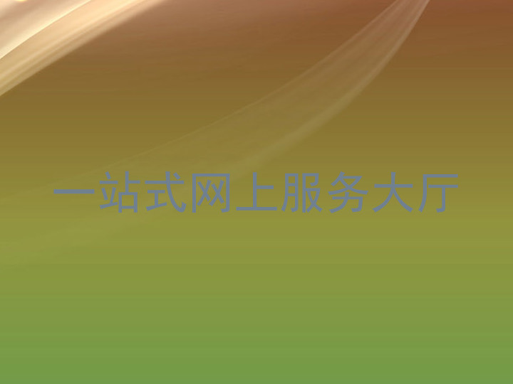 一站式网上服务大厅