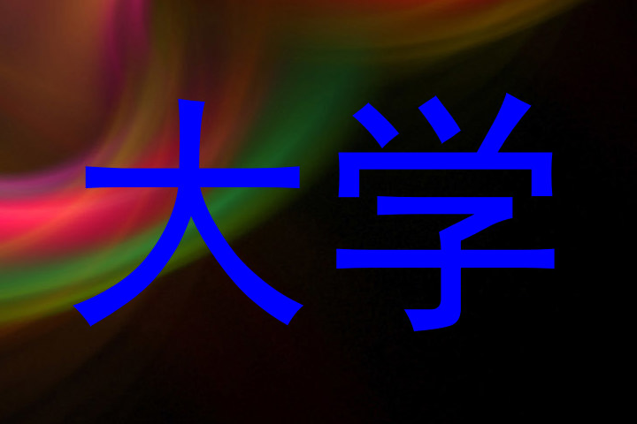 大学
