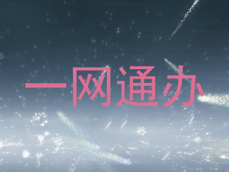一网通办