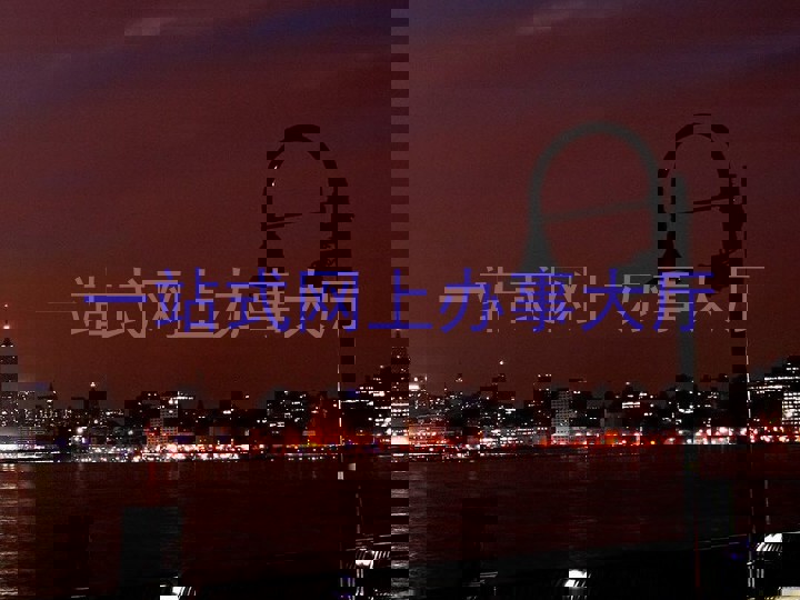 一站式网上办事大厅