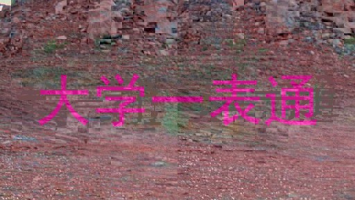 大学一表通