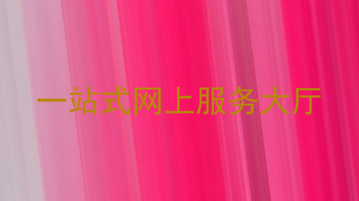 一站式网上服务大厅