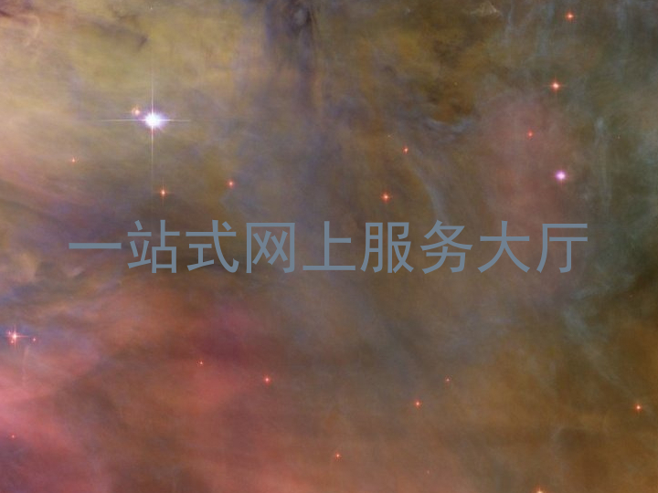 一站式网上服务大厅