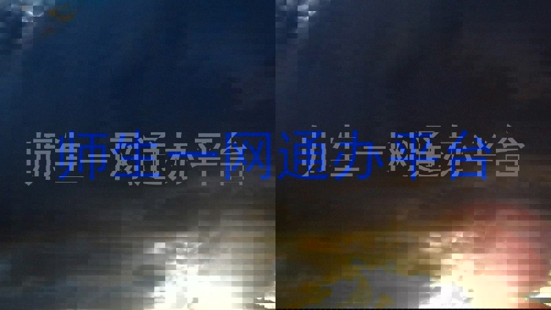 师生一网通办平台