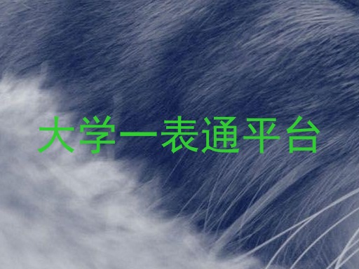 大学一表通平台