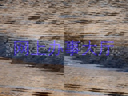 网上办事大厅