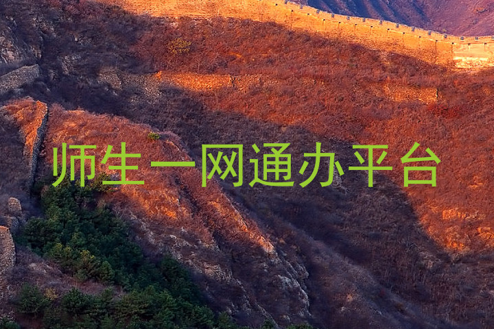 师生一网通办平台