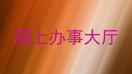 网上办事大厅