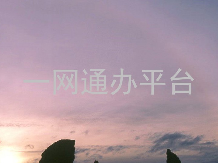 一网通办平台