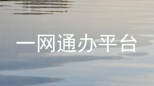 一网通办平台