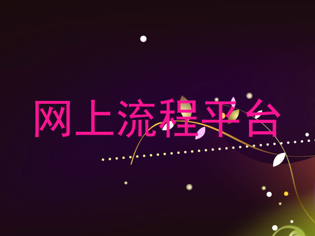 网上流程平台