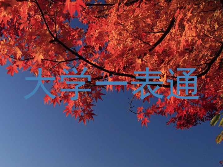 大学一表通