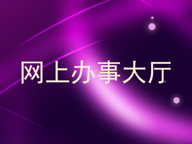 网上办事大厅
