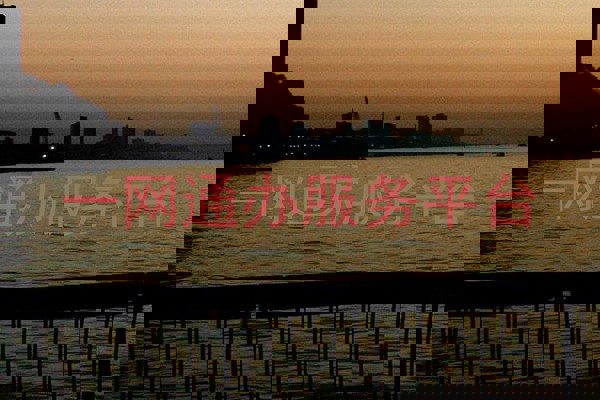 一网通办服务平台