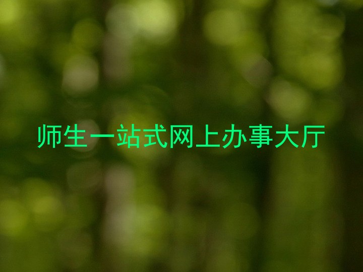 师生一站式网上办事大厅