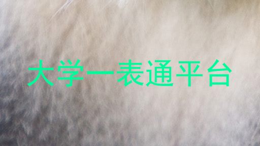 大学一表通平台
