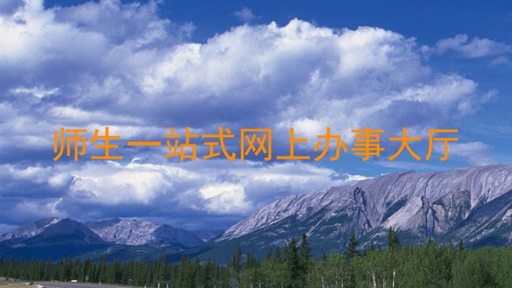 师生一站式网上办事大厅