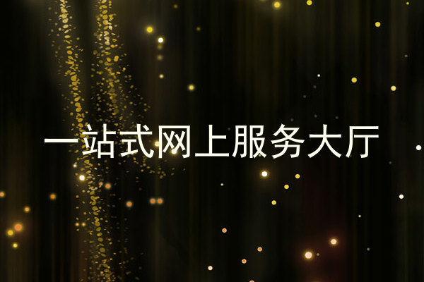 一站式网上服务大厅
