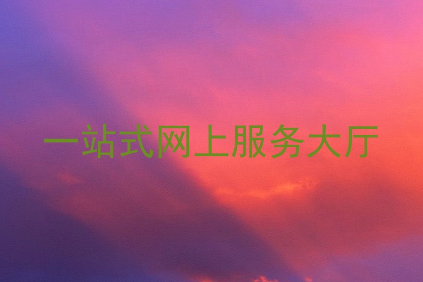 一站式网上服务大厅