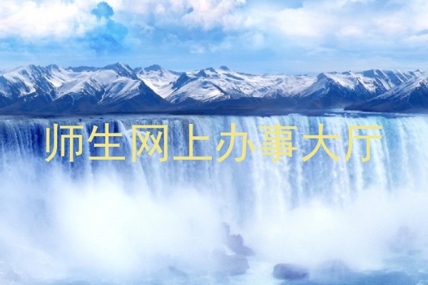 师生网上办事大厅