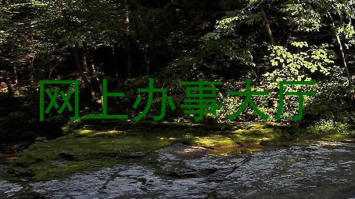 网上办事大厅