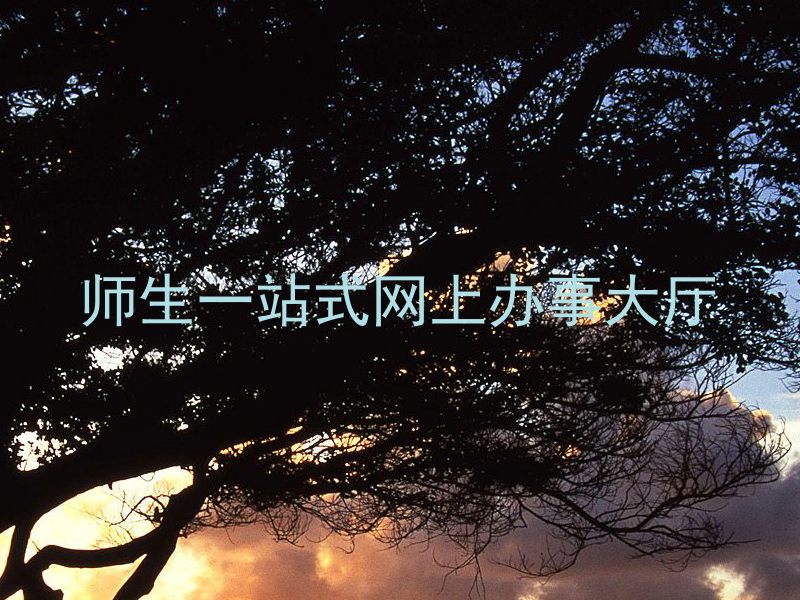 师生一站式网上办事大厅