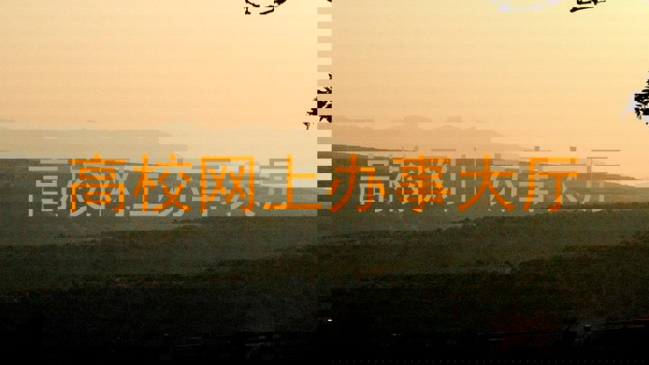高校网上办事大厅