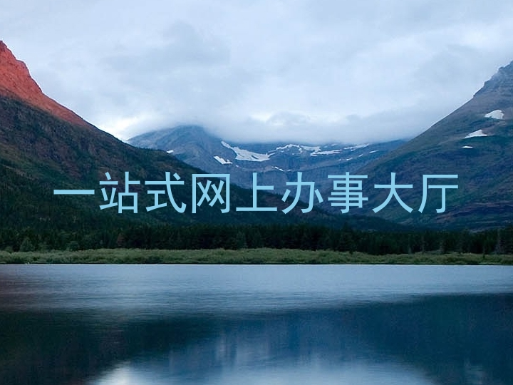 一站式网上办事大厅