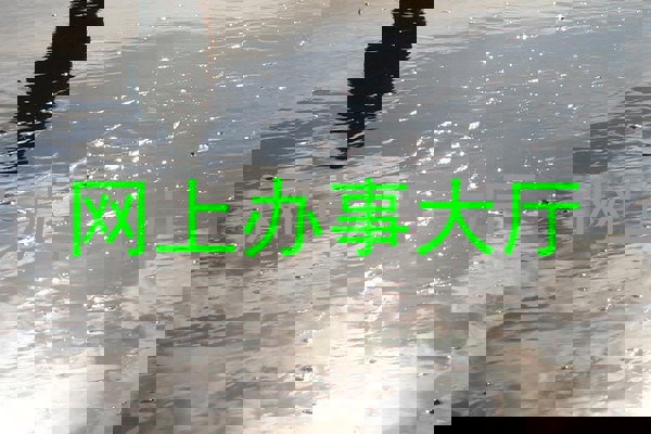 网上办事大厅