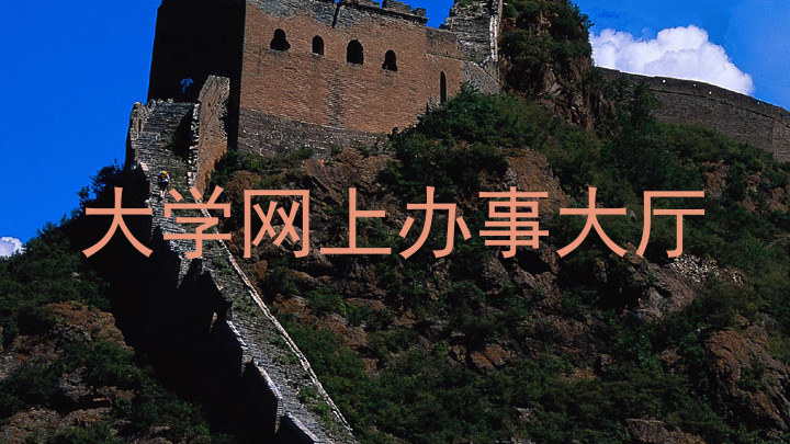 大学网上办事大厅