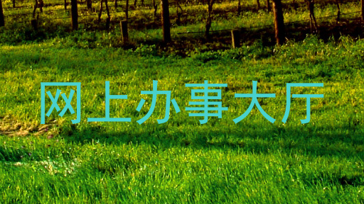 网上办事大厅