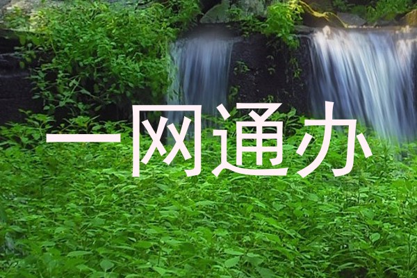 一网通办