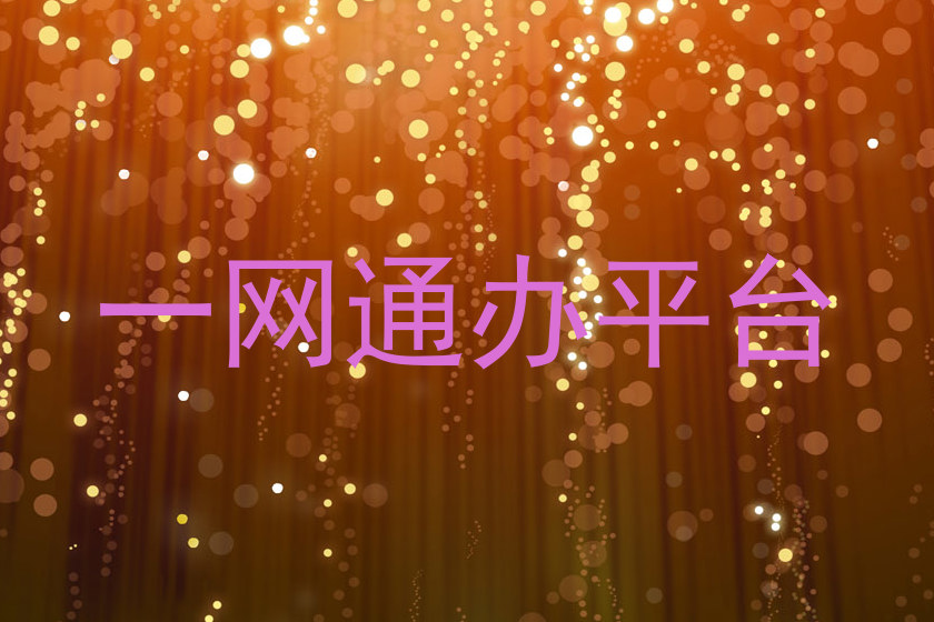 一网通办平台