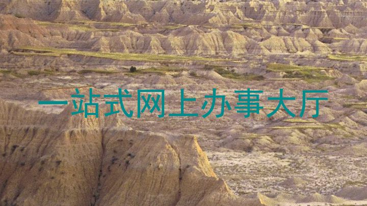 一站式网上办事大厅