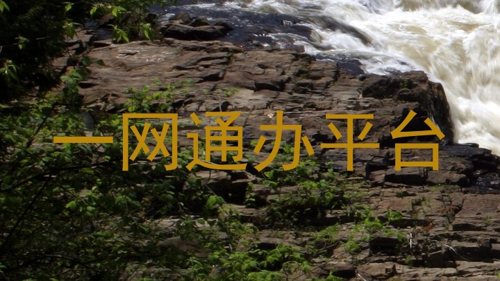 一网通办平台