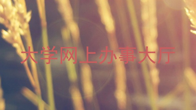 大学网上办事大厅