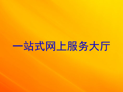 一站式网上服务大厅