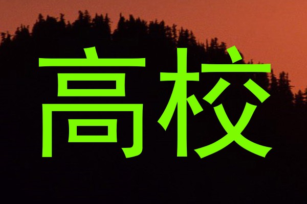 高校