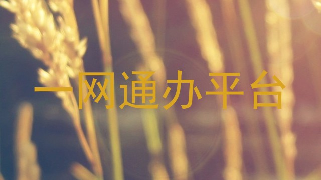 一网通办平台