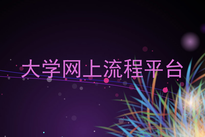 大学网上流程平台